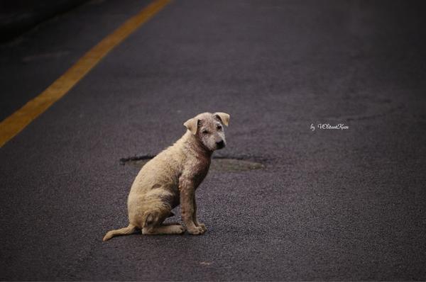 你拍过最孤独的照片是哪张?