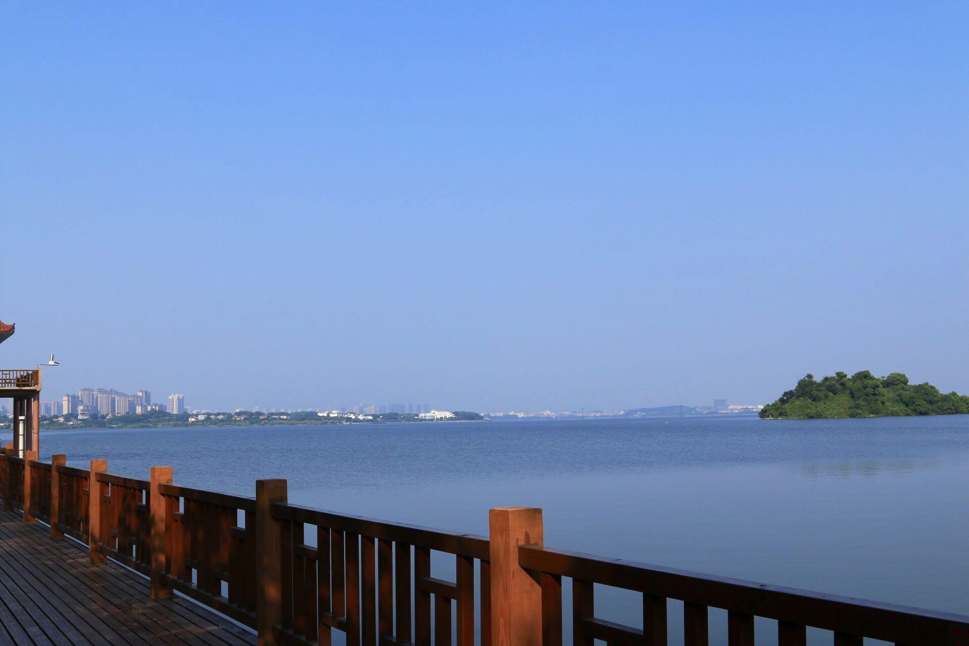 手机拍照和单反拍照的差别?