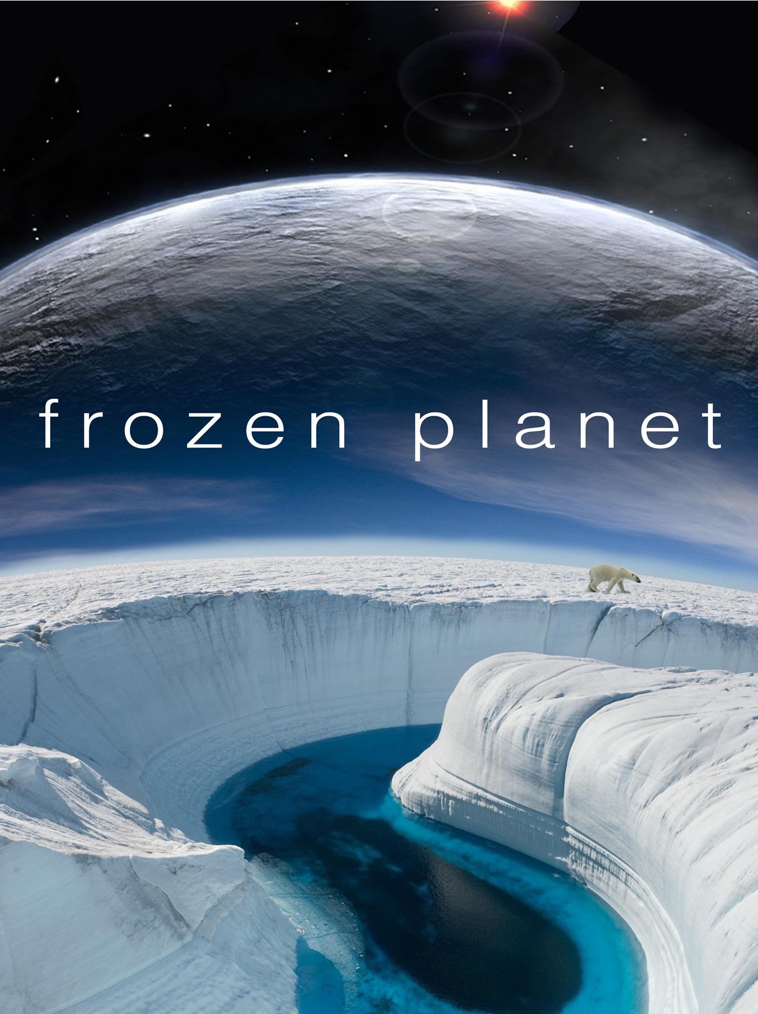 冰冻星球看点11-纪录片-全集-高清正版在线观看-bilibili-哔哩哔哩