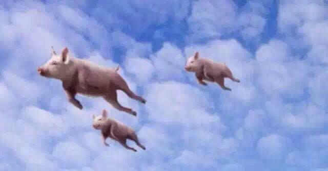 没有缘故市场,最开始如何开展保险业务? - 吴军