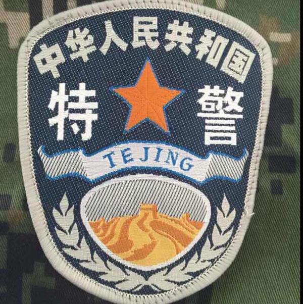中国特警臂章图片