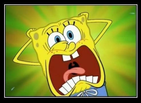 呆呆乱翻训练配咖啡的正确打开方式