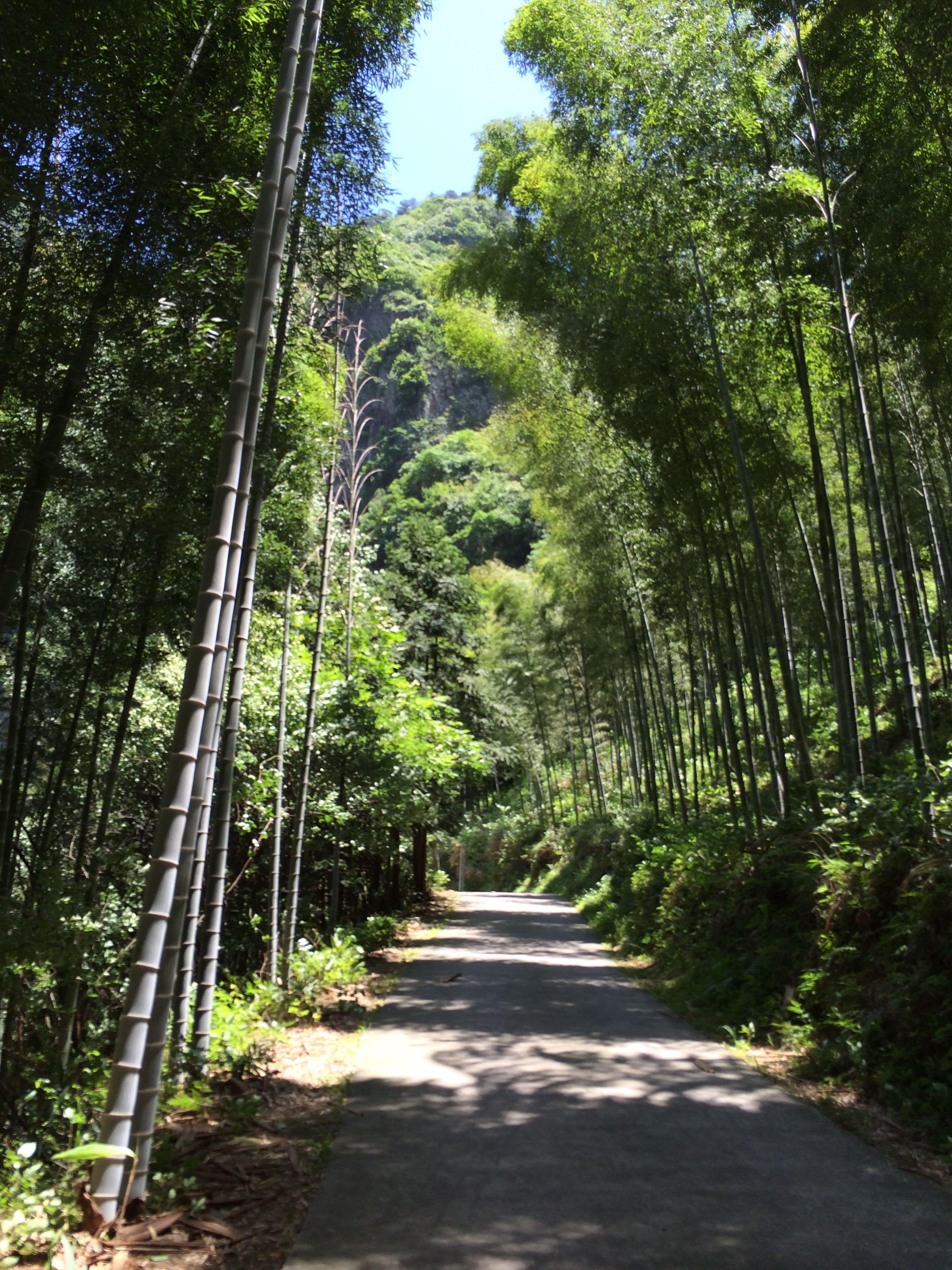 为什么,西欧北欧,美加,澳纽等地的农村看上去总