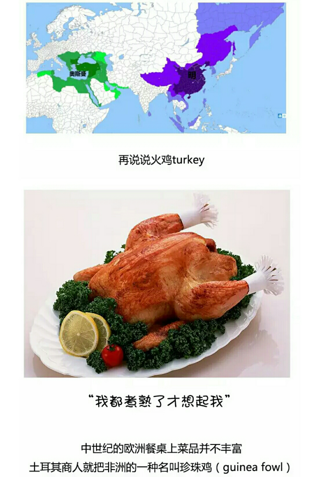土耳其的英文名turkey(火鸡)的名称从何而来? -