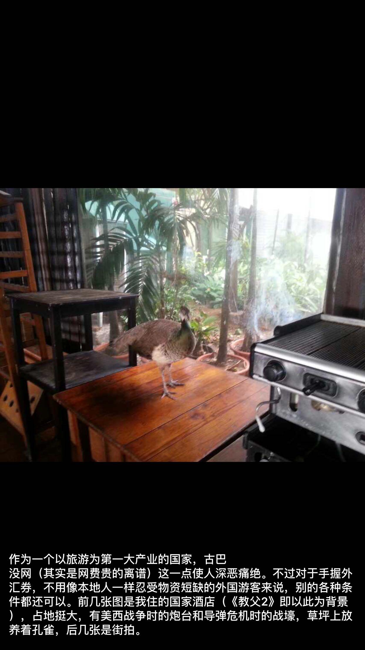 有哪些国家经济不发达,但是实现了健全的法制