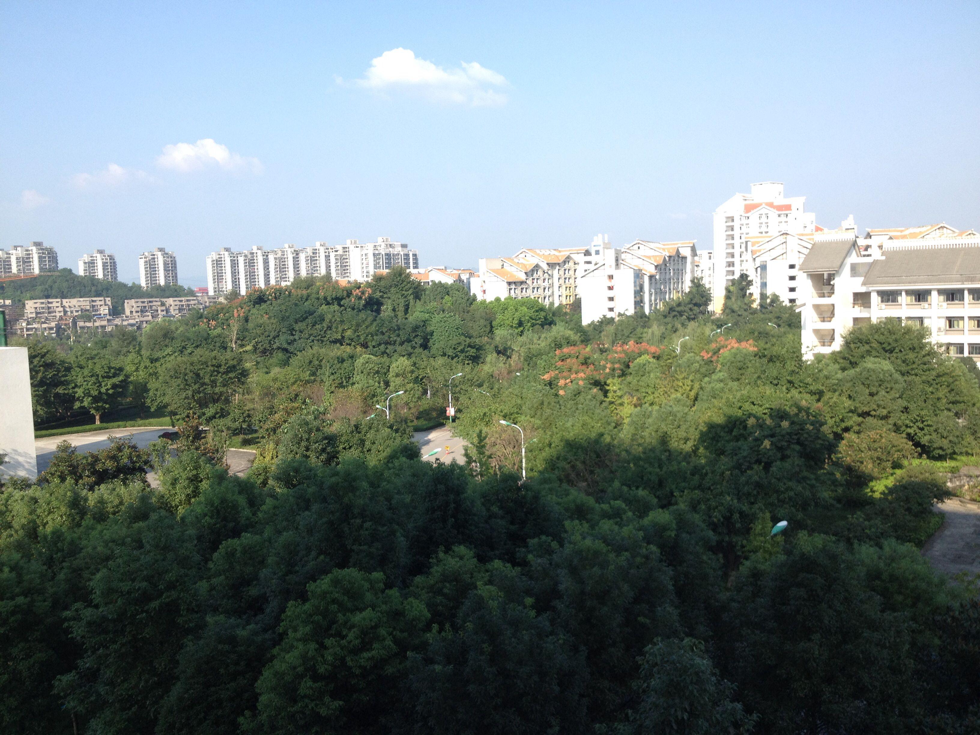 关于校园秋天的段落句子?