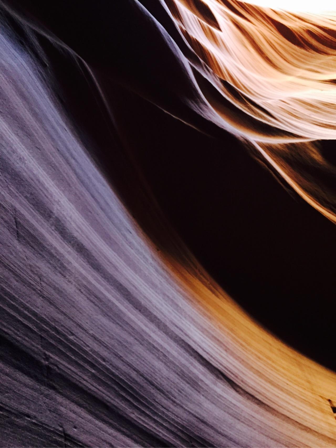 你手机里有什么好看的图片? - 小豆芽的回答