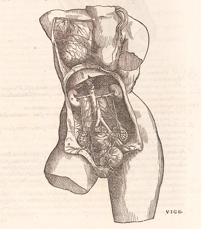 国外素描的学习步骤是怎么样的? - 绘画 - 知乎