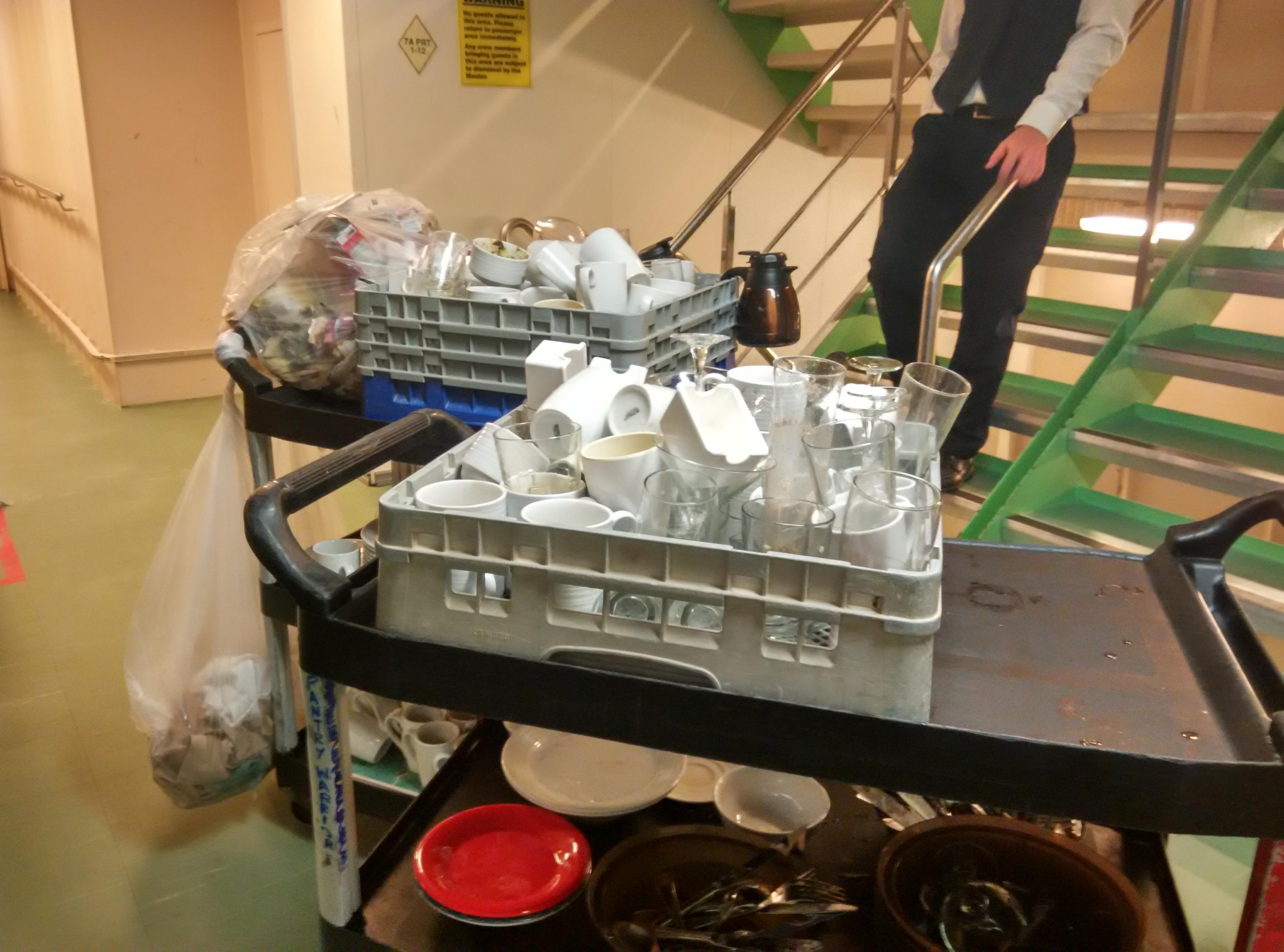 去国际邮轮工作,怎样避免被中介骗? - 职业规划