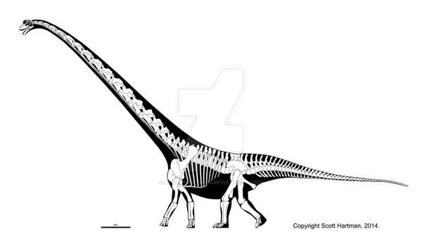 腕龙梁龙马门溪龙各种长脖子长尾巴恐龙外形的明显区别到底在哪里呢