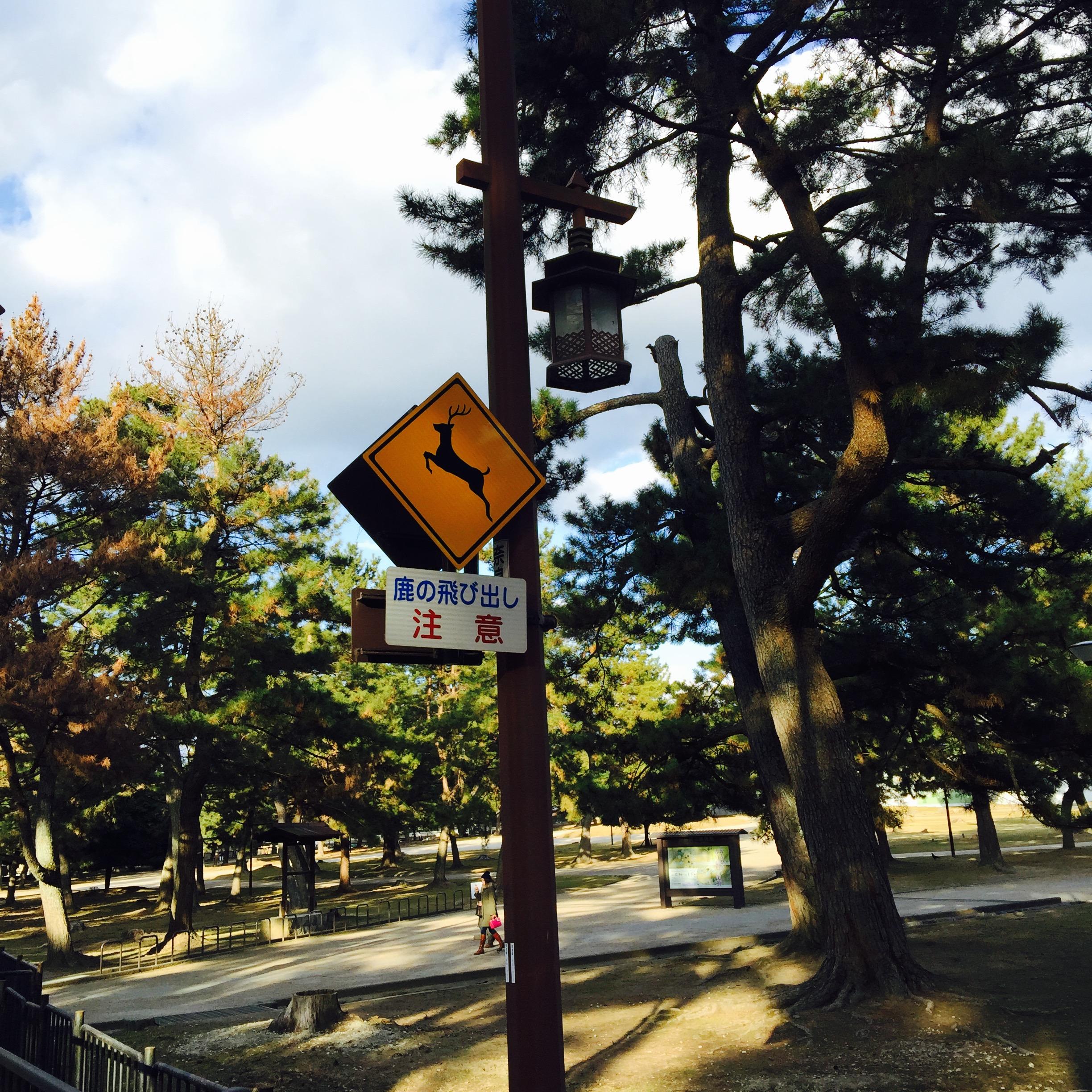 想去日本自由行 是报团还是自己买机票 有什么