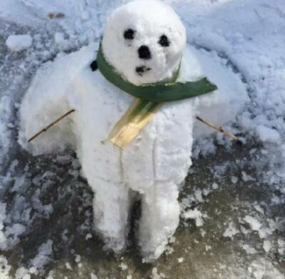 编一个雪人+夏天的组合的可爱小故事? - 你面