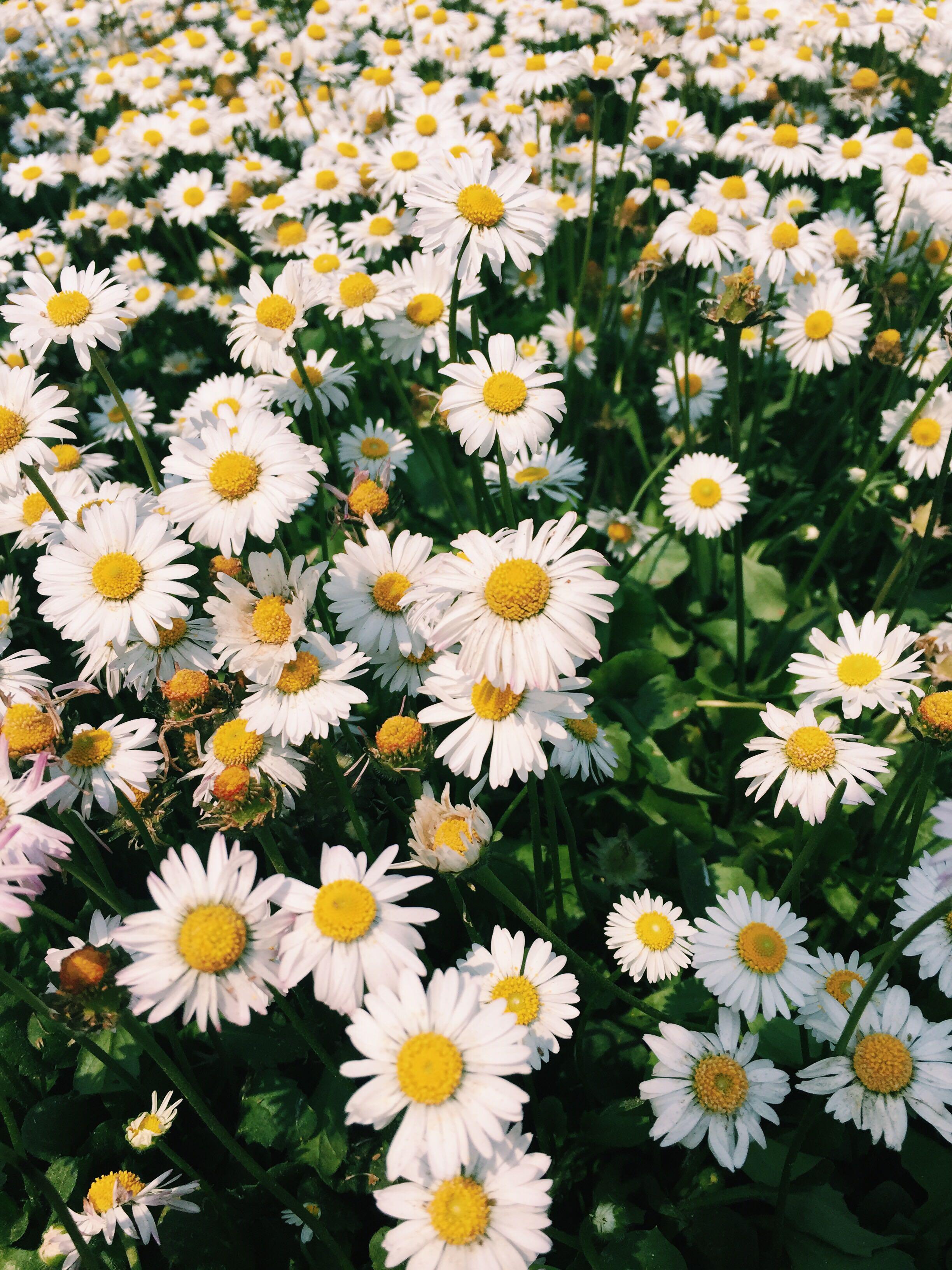 你手机里有什么好看的图片