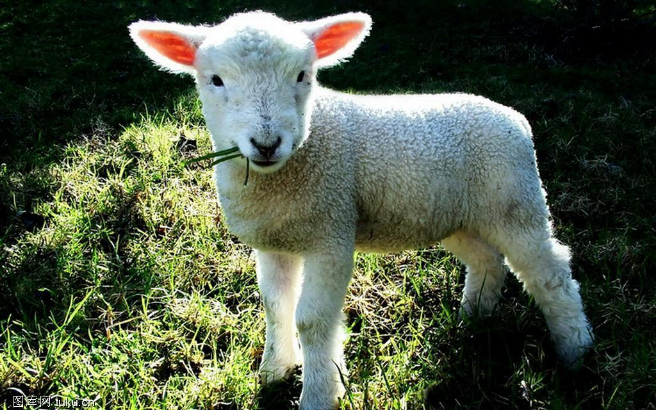 如果用lol的人物原型,故事背景改写成别的形式