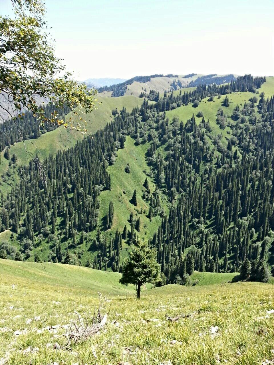 如何看待2005年陕西理科高考状元清华博士毕