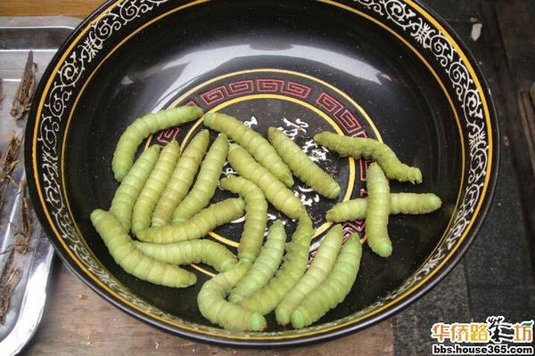 不知道你们吃过没有,炸豆虫 据说鸡鸭吃了可以下双黄蛋()
