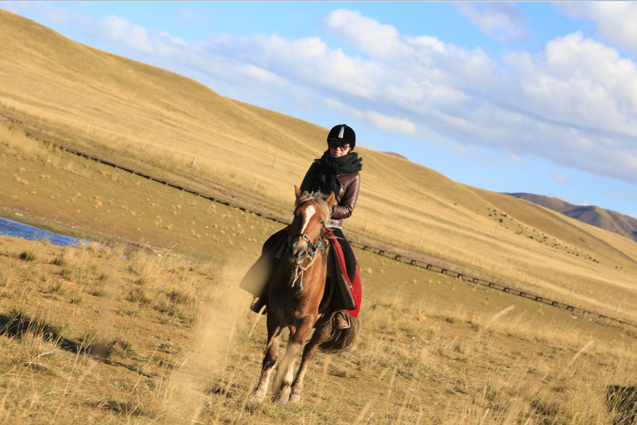 会骑马是一种怎样的体验?