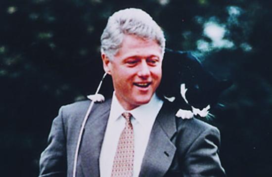 世界上有哪些喜欢猫的名人?