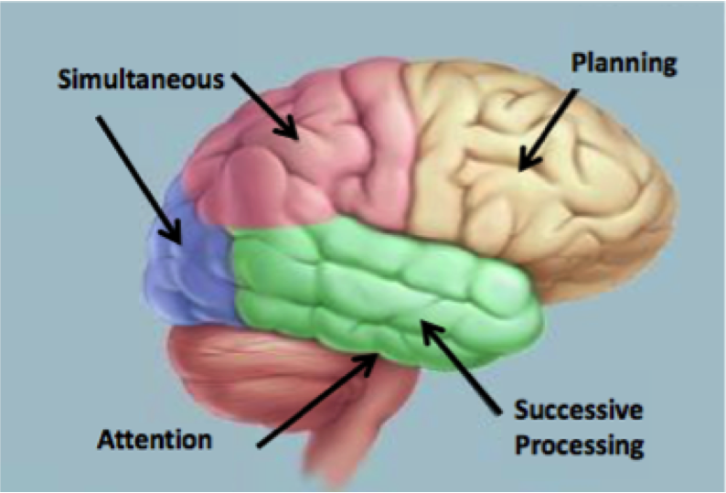 751b04dcf1cbf3c60dffb2eaebce03c7_1440w.jpg?source=172ae18b