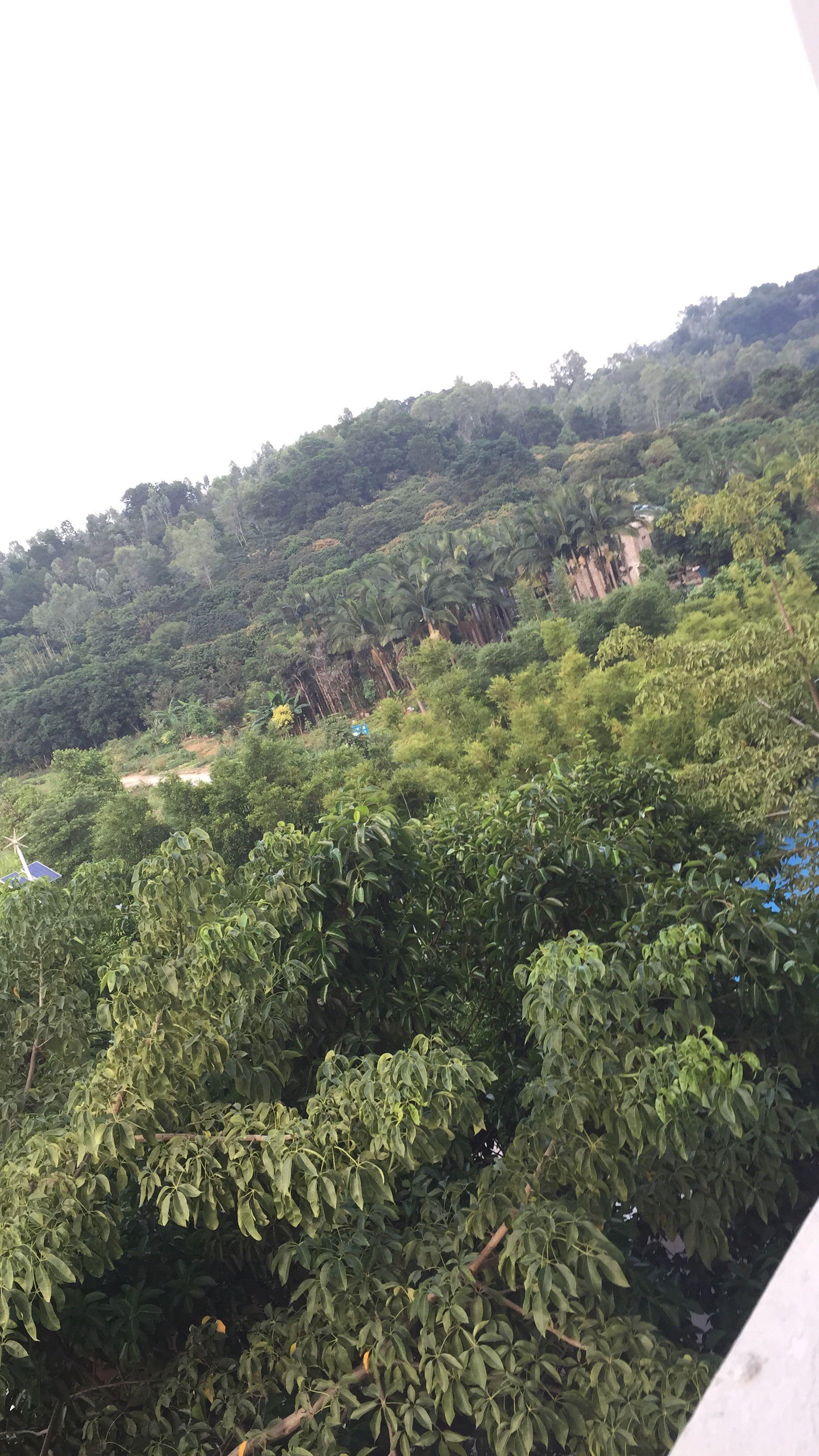 在深圳教苑中学读书是一种什么样的体验? - X