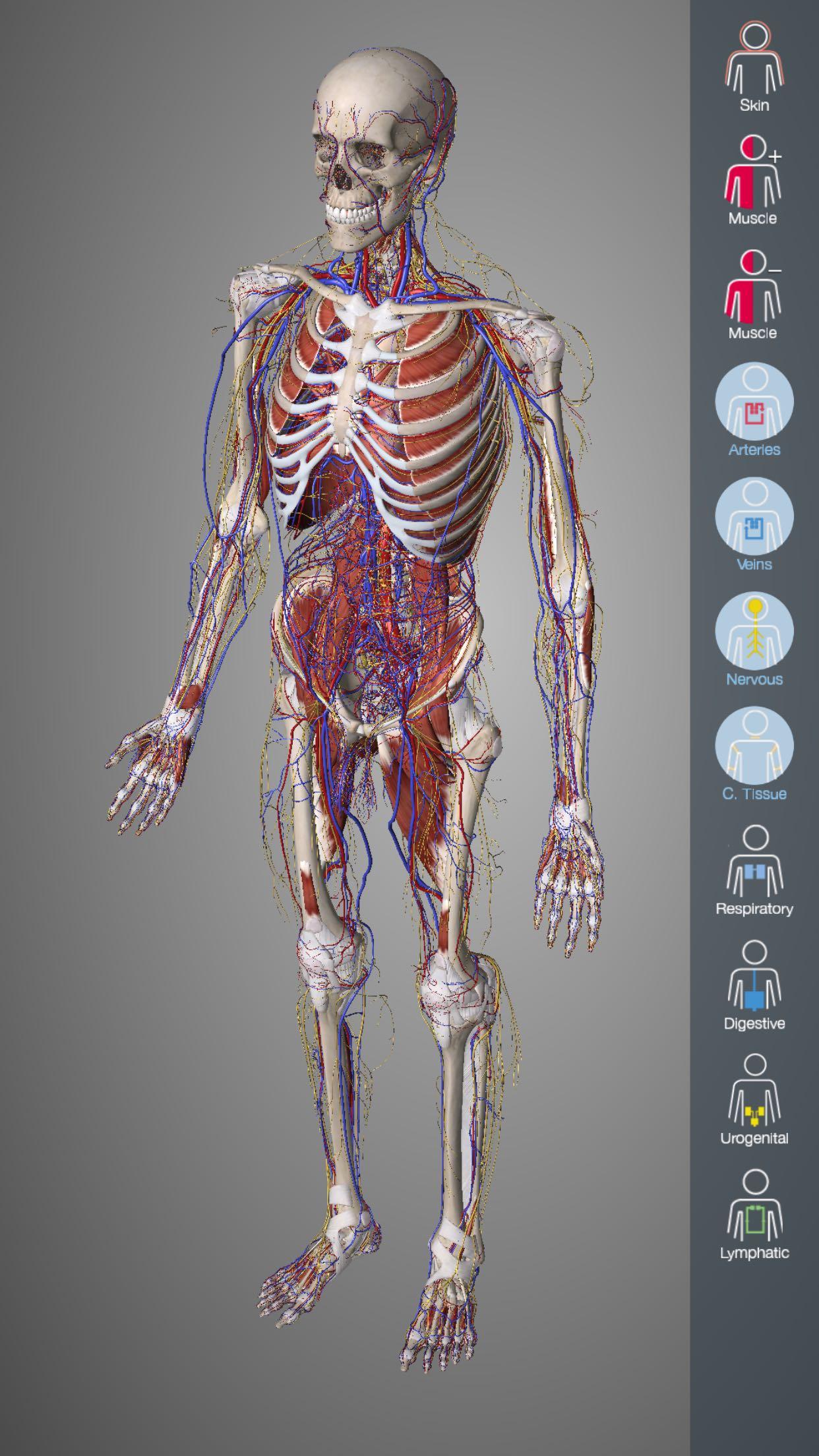 essential anatomy ipad app