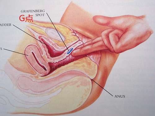 video-zona-grafenberga