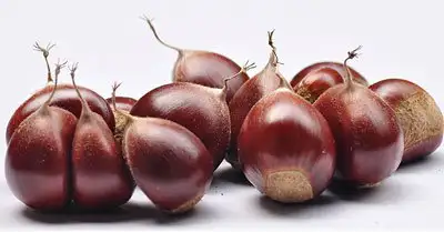 图片[10]-想要男人更强更持久？这些东西少不了-猫匿