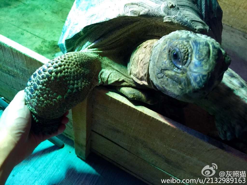 陆龟二郎 知乎