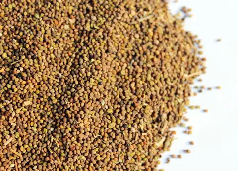 图片[4]-想要男人更强更持久？这些东西少不了-猫匿