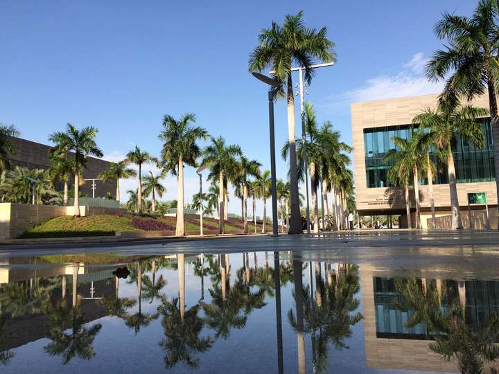 網上很紅的沙特阿卜杜拉國王科技大學費用全免好申請是真實可靠的嗎