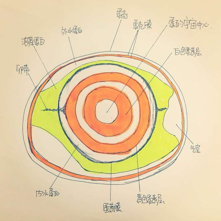 烘焙材料俱乐部 | 蛋和它的周边