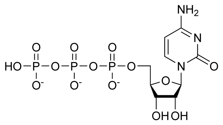 为什么生物选择使用 atp 供能?