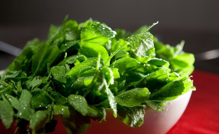 最佳食品 豌豆 豌豆尖 豌豆荚 知乎