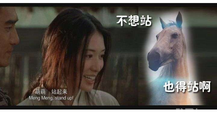 为什么有人反对转基因?