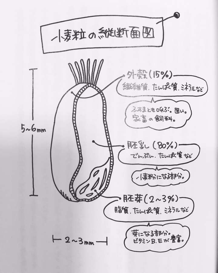 纳尼!?日法小麦粉!
