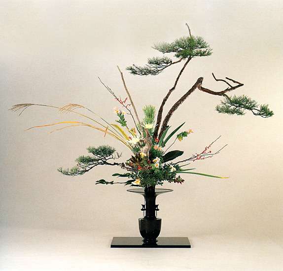 日式花道有哪些主要流派各个流派有什么异同