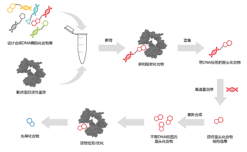 知乎专栏