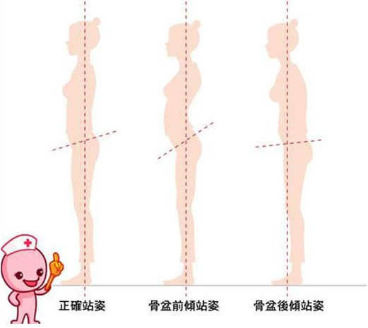 探颈 驼背 圆肩 骨盆前倾 一个动作帮你全部搞定 知乎