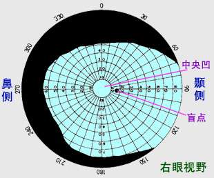 眼距宽和眼距窄的人的视界视野有什么不同吗