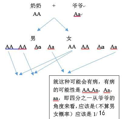 近亲结婚对后代的遗传影响有多严重