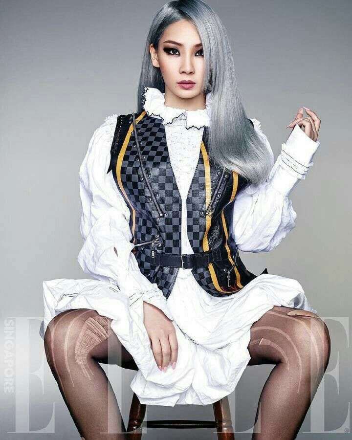 韩国yg旗下的女子组合2ne1的队长cl就很符合这个标准.