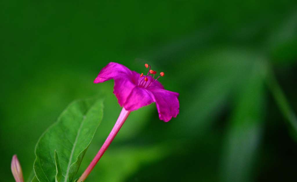 花名册 下午四点钟 你在做什么 知乎