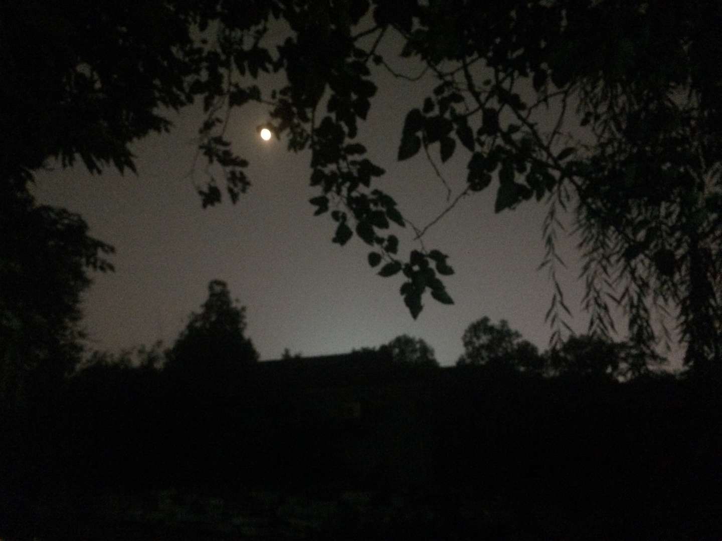 随感 何夜无月何时圆 知乎