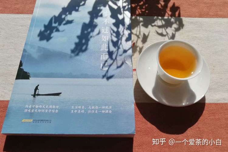 品质不错的普洱茶 总有这些特点 知乎