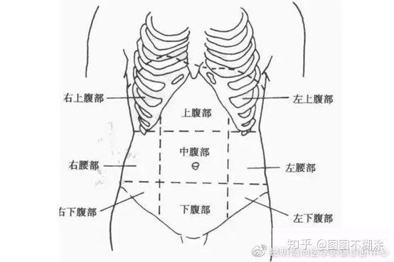 ct及mr扫描中上腹部,中腹部,下腹部的界限如何划分?