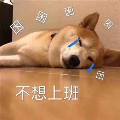 小柴犬可愛表情包是我暗示的還不夠明顯嗎