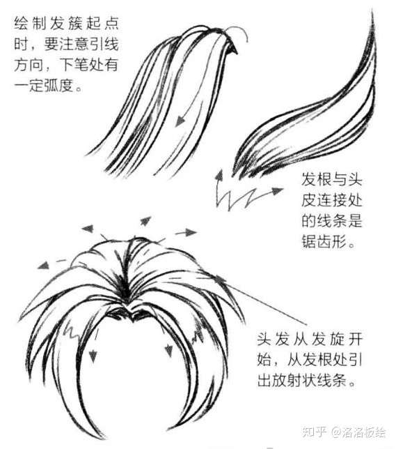 零基础漫画入门 头发的绘制基础 知乎