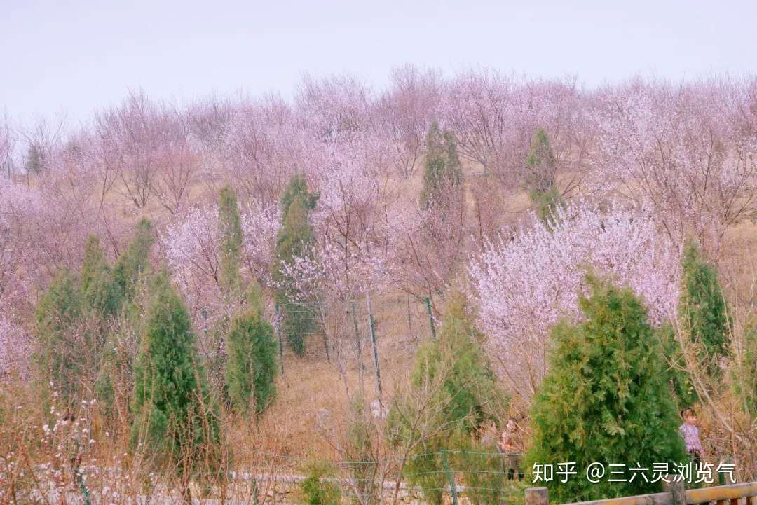 喜欢长春观的春夏秋冬 知乎