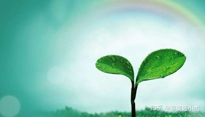 如何做好止盈