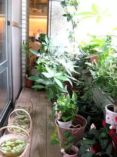 田园风格大户型的装修，很有味道很温馨，效果不赖。(图12)